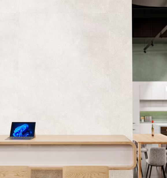 ZINTRA PREMIUM PRINT Acoustic Panels - RAKU