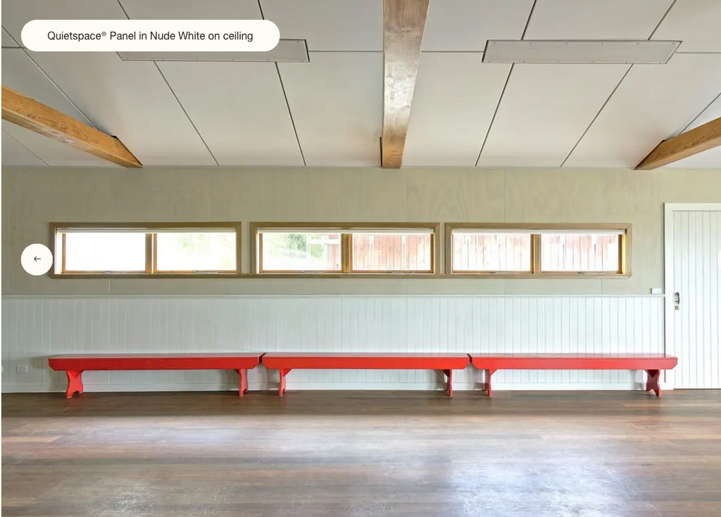 QUIETSPACE 25 ACOUSTIC CEILING PANELS (1 Box = 6)