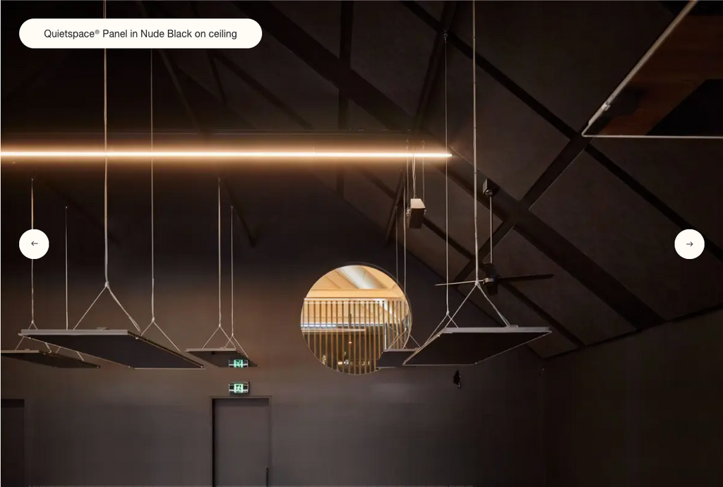 QUIETSPACE 25 ACOUSTIC CEILING PANELS (1 Box = 6)